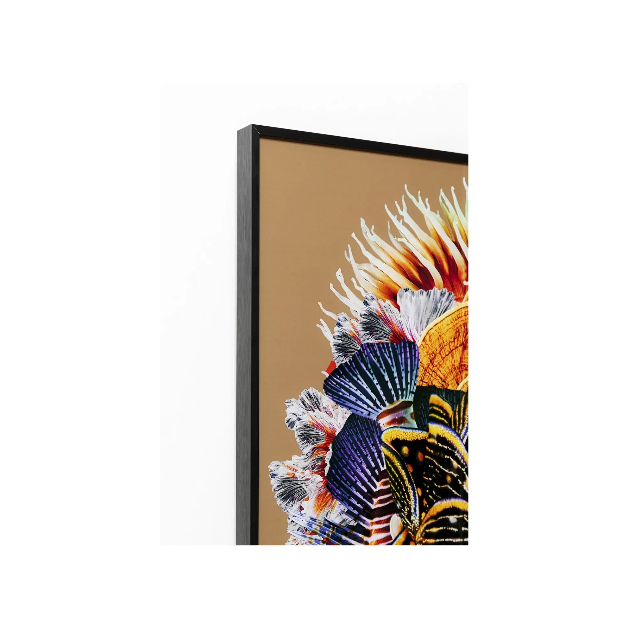 KARE Design Affiche Encadrée Femme Coraux Poissons 120x120cm ^ Tableau