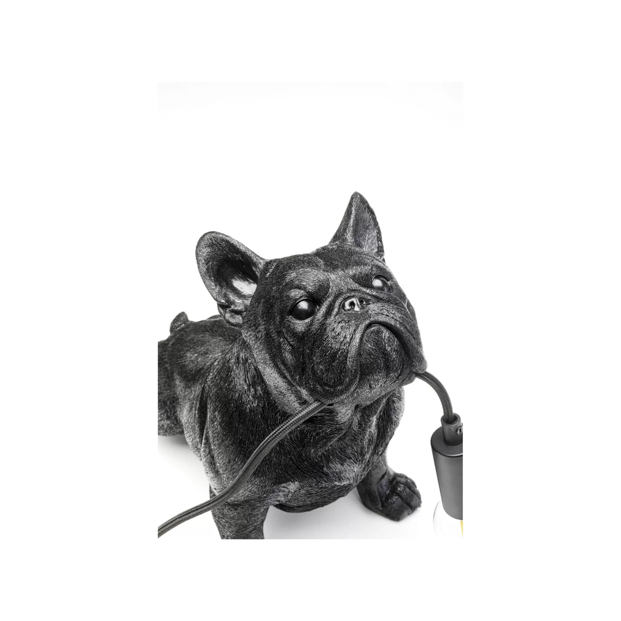 KARE Design Lampe Bouledogue Noir ^ Lampe De Table