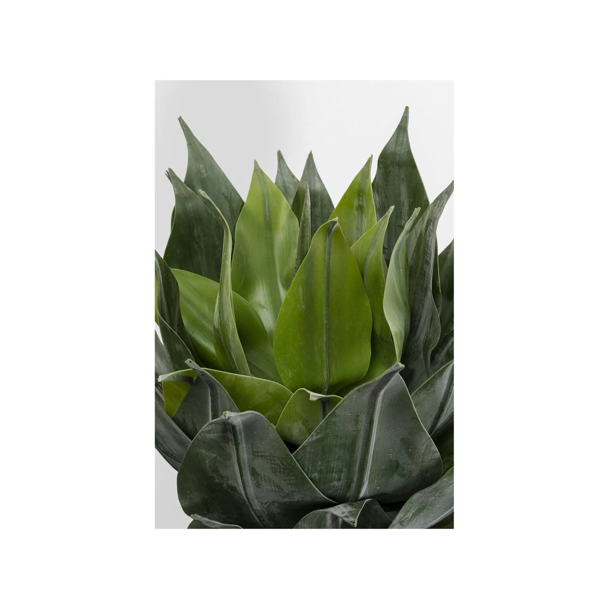 KARE Design Plante Décorative Agave 120cm ^ Plante Décorative