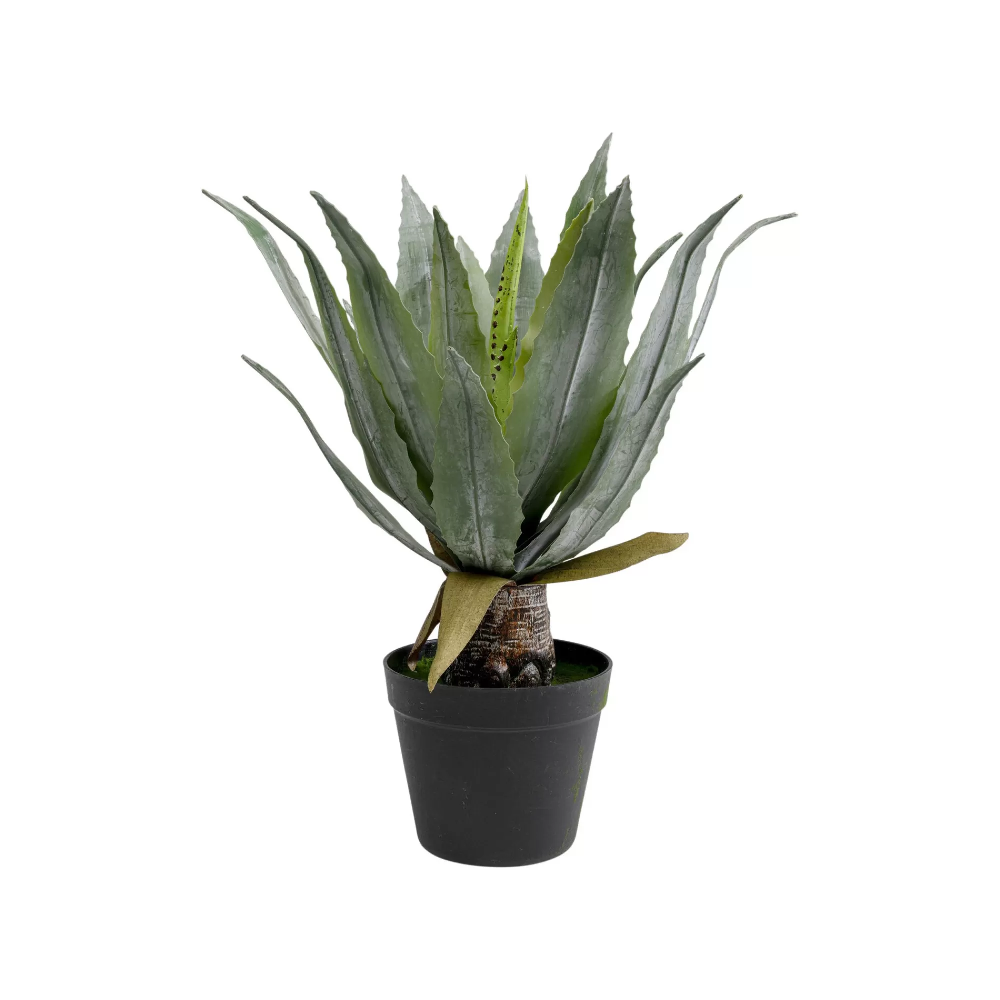 KARE Design Plante Décorative Agave 40cm ^ Plante Décorative