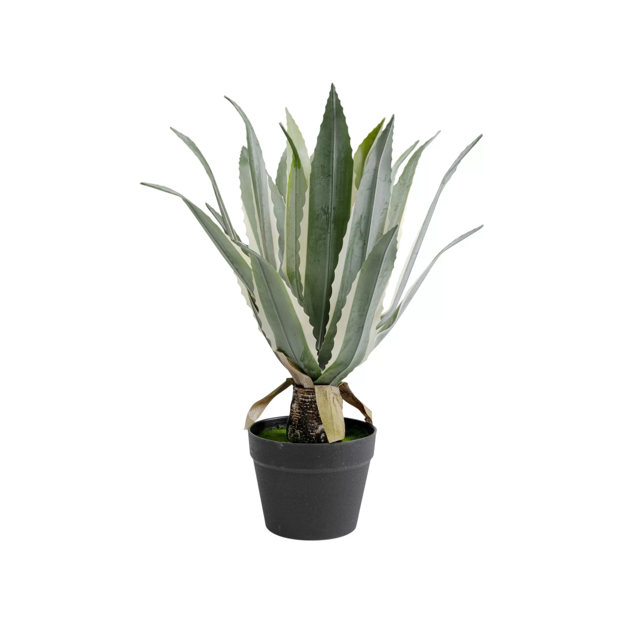 KARE Design Plante Décorative Agave 50cm ^ Plante Décorative