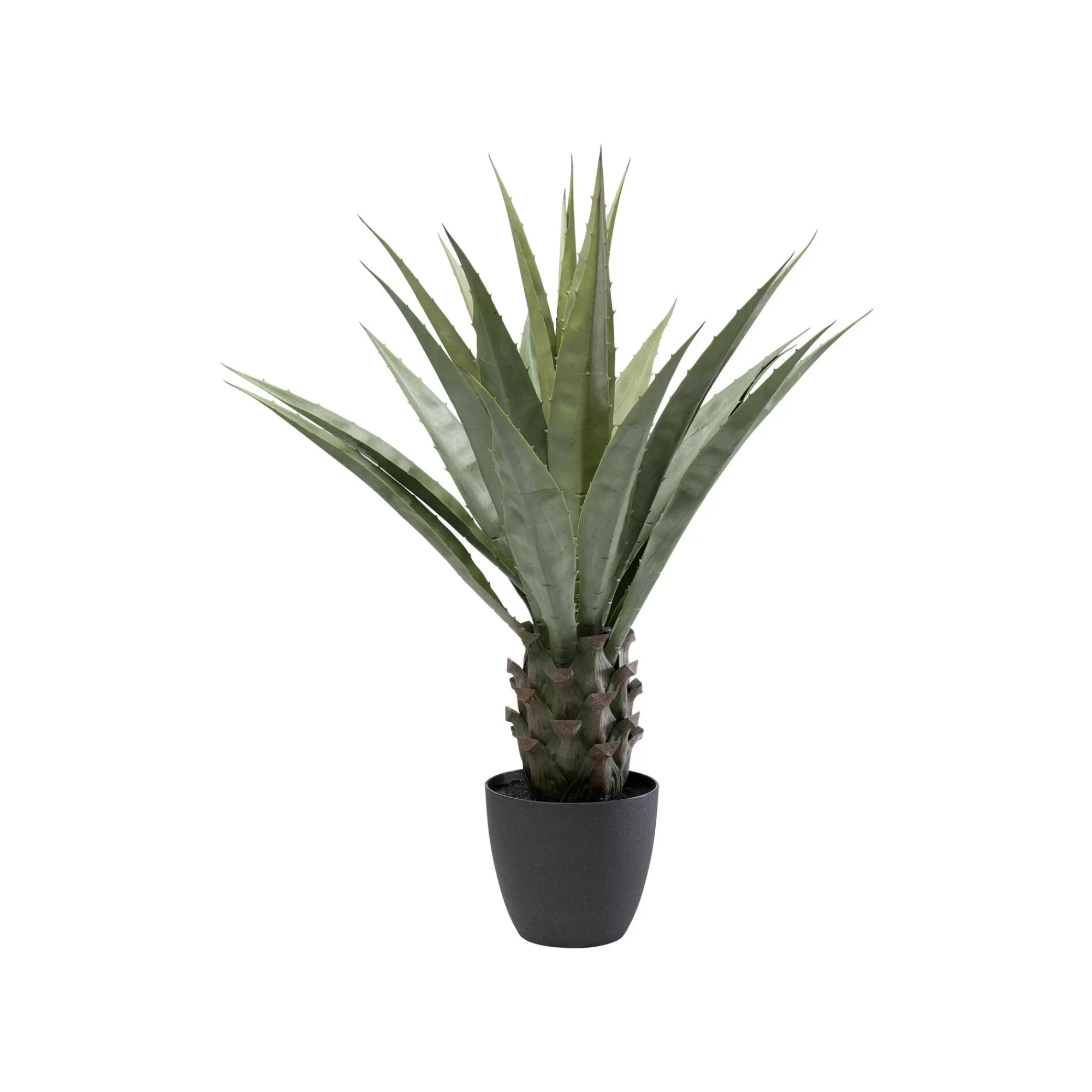 KARE Design Plante Décorative Agave 85cm ^ Plante Décorative