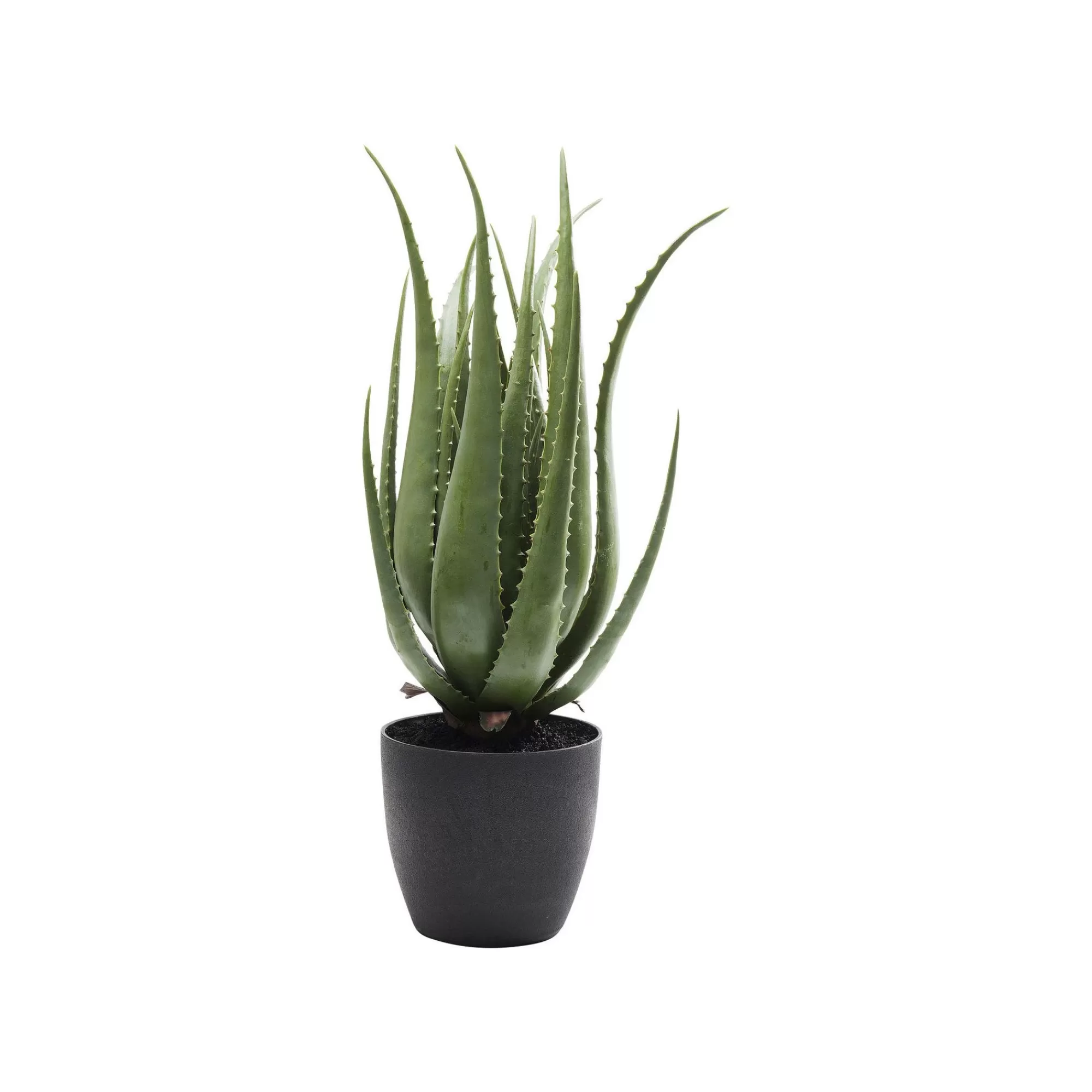 KARE Design Plante Décorative Aloe ^ Plante Décorative