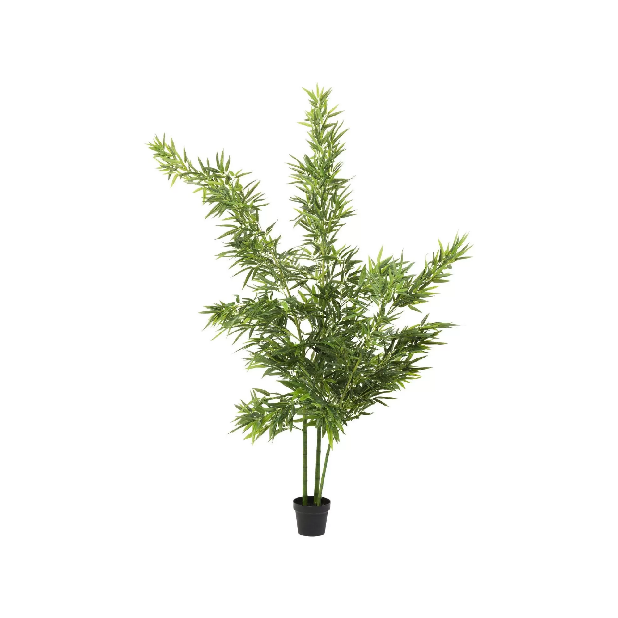 KARE Design Plante Décorative Bamboo Tree 200cm ^ Plante Décorative