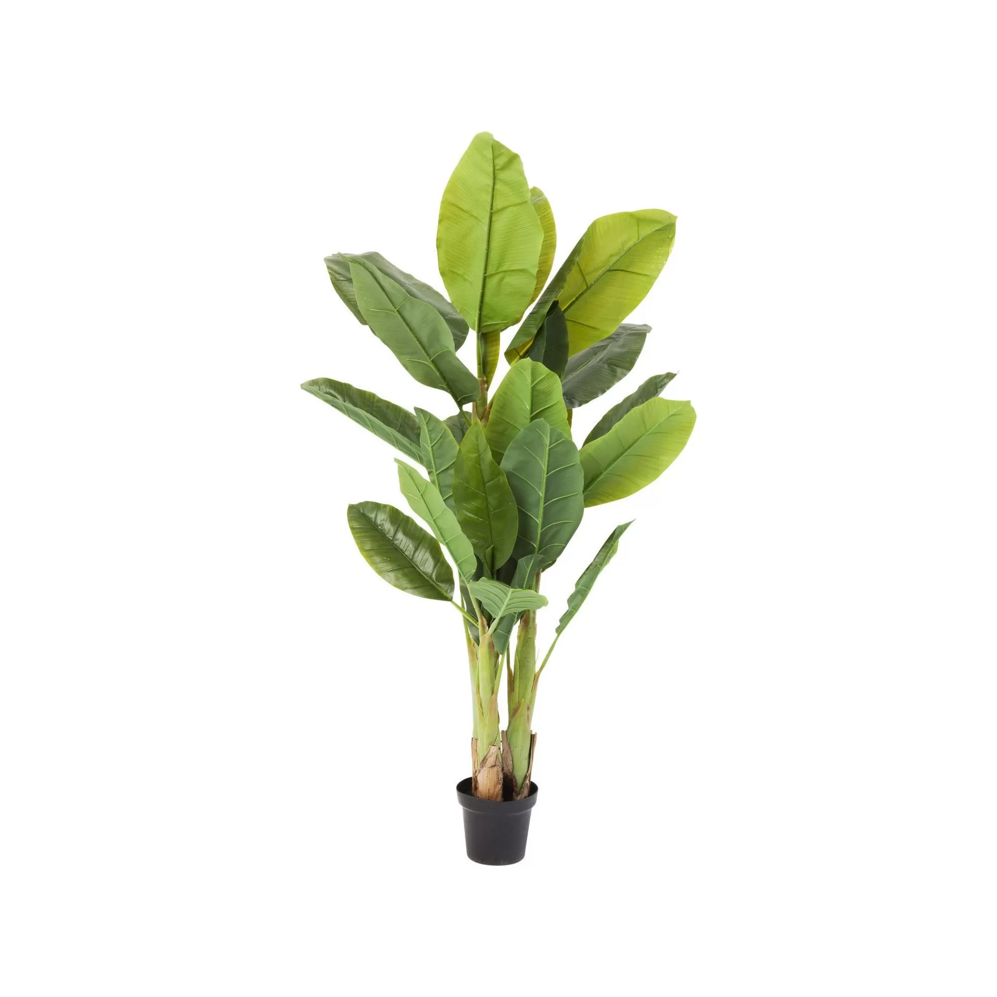 KARE Design Plante Décorative Bananier 180cm ^ Plante Décorative