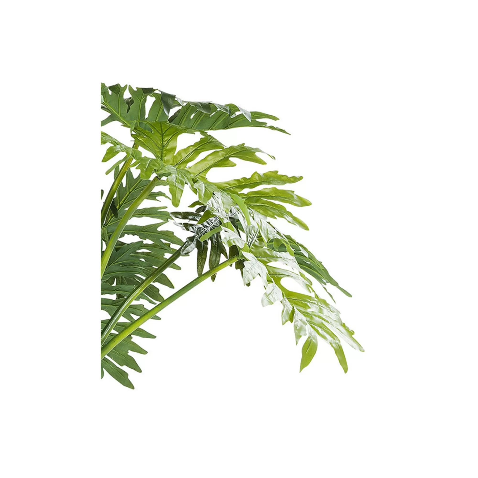 KARE Design Plante Décorative Big Monstera 175cm ^ Plante Décorative