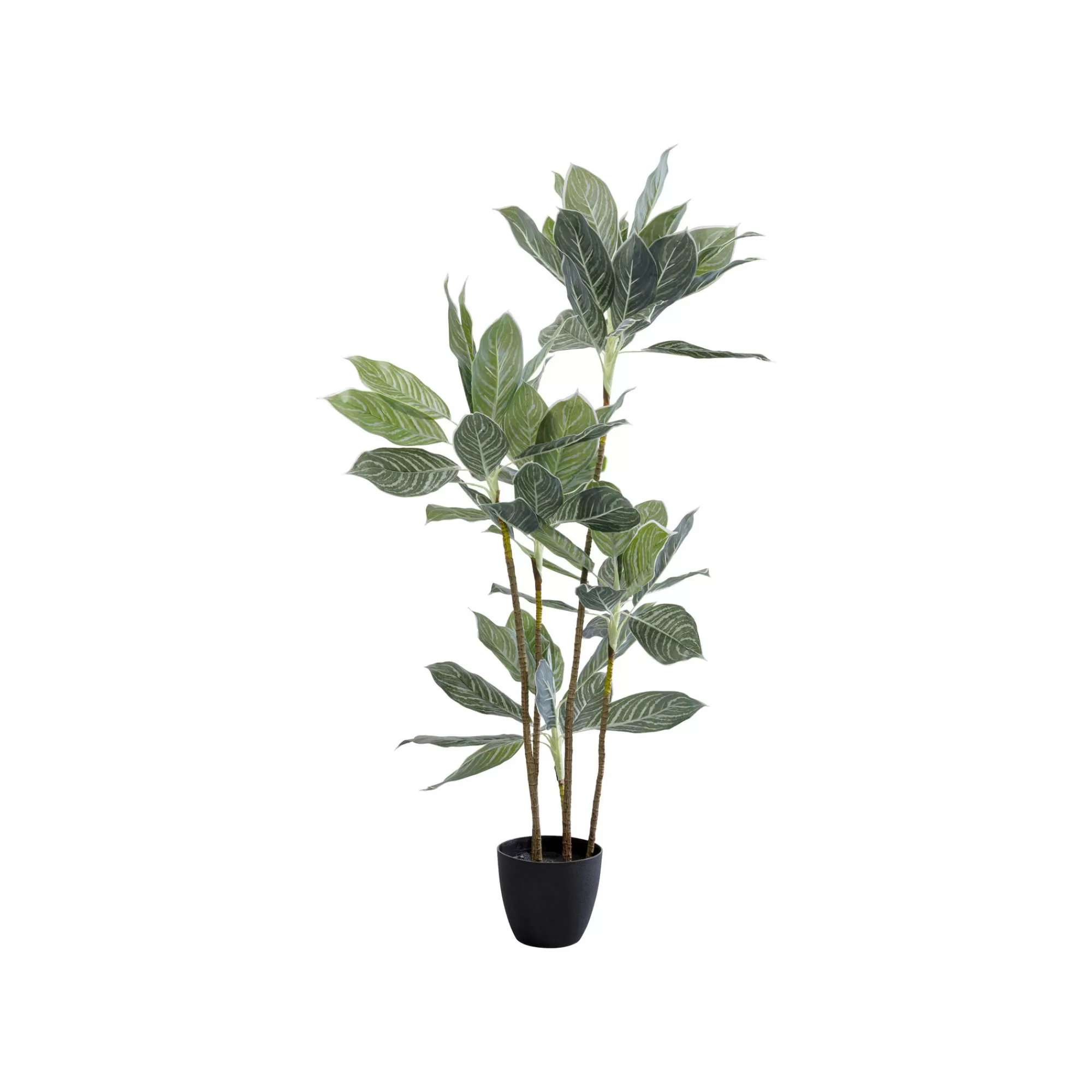 KARE Design Plante Décorative Calathea 140cm ^ Plante Décorative