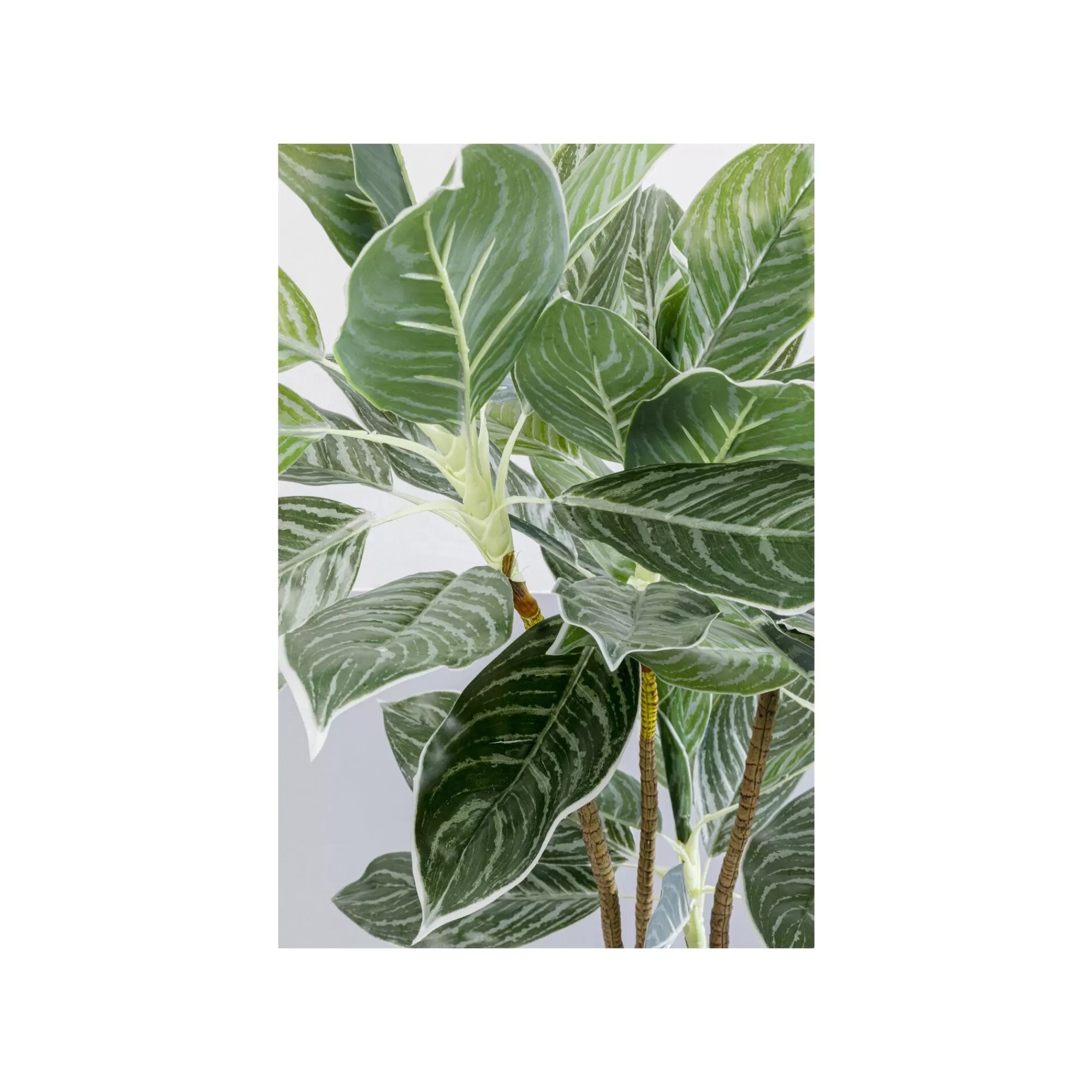 KARE Design Plante Décorative Calathea 140cm ^ Plante Décorative