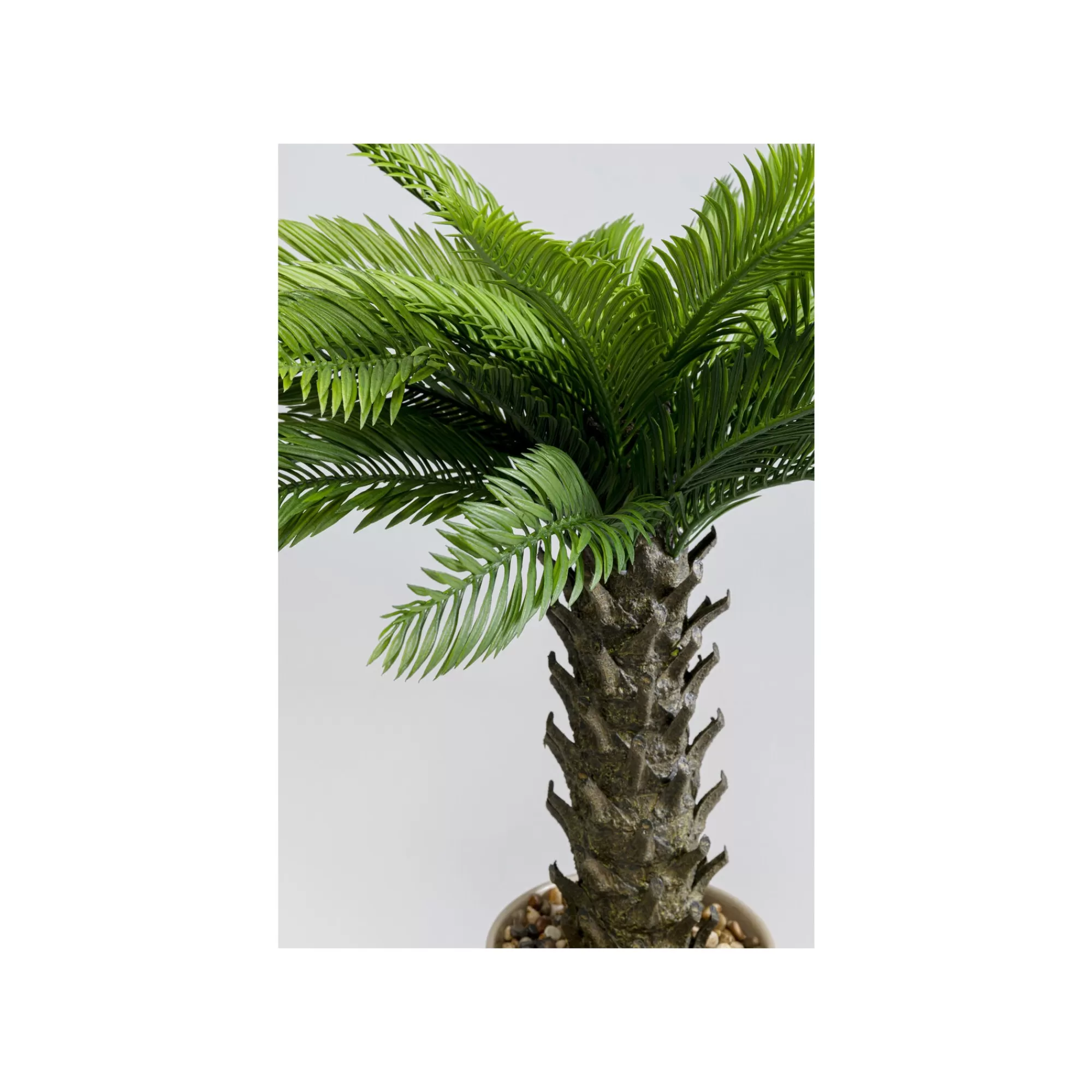 KARE Design Plante Décorative Cycas 70cm ^ Plante Décorative