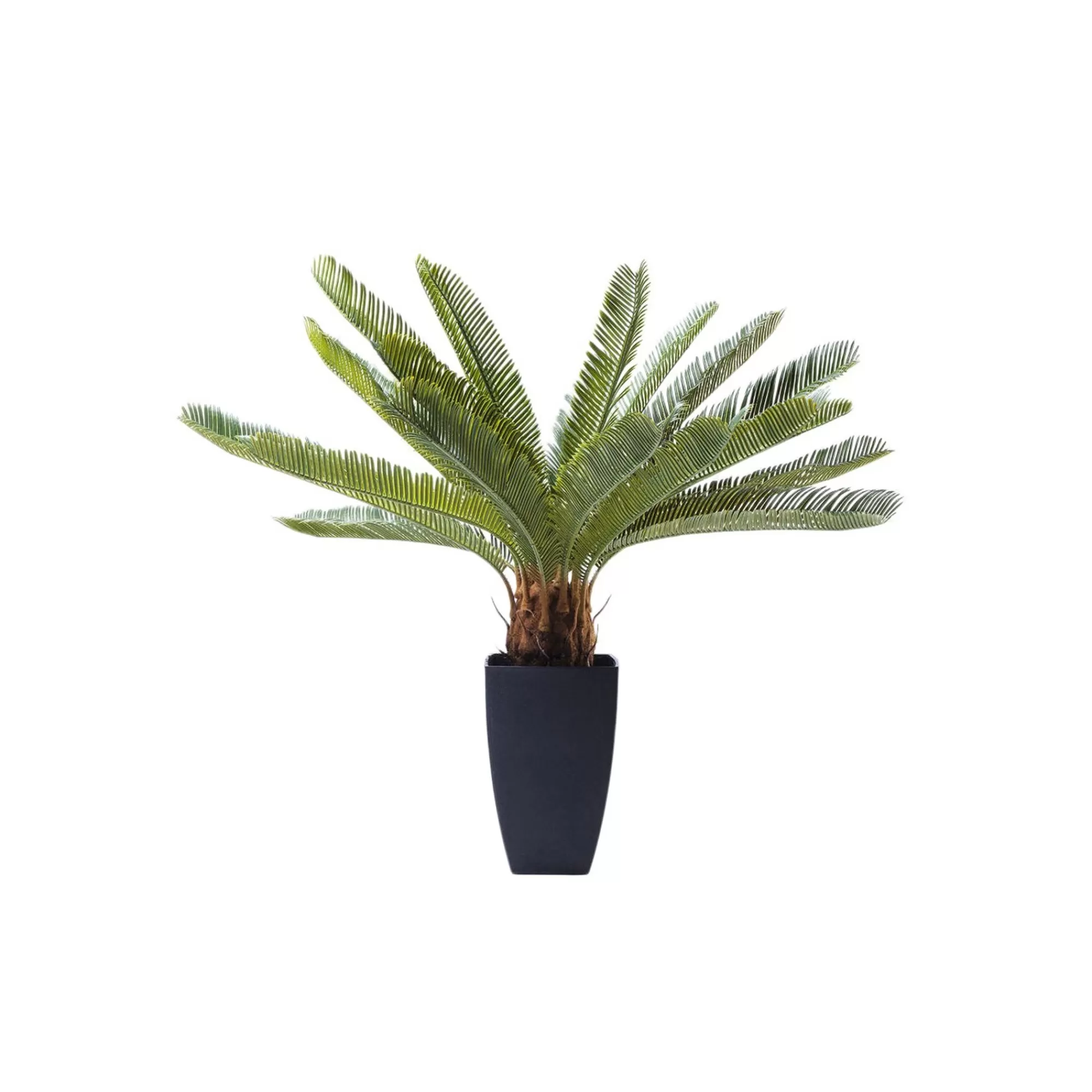 KARE Design Plante Décorative Cycas 78cm ^ Plante Décorative