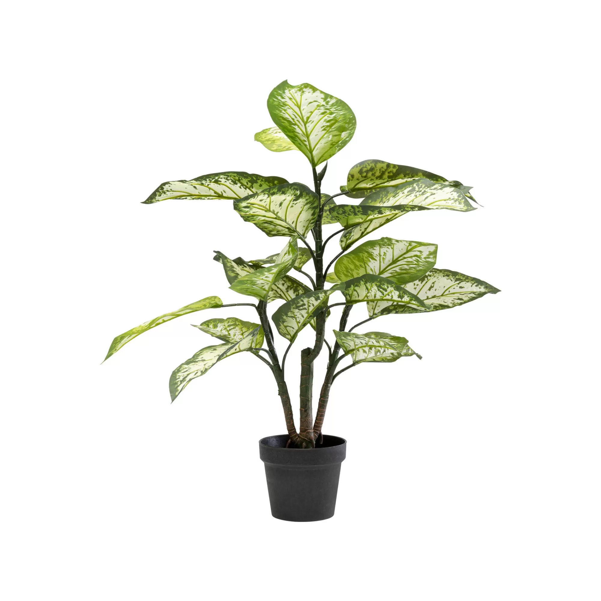 KARE Design Plante Décorative Dieffenbachia 100cm ^ Plante Décorative