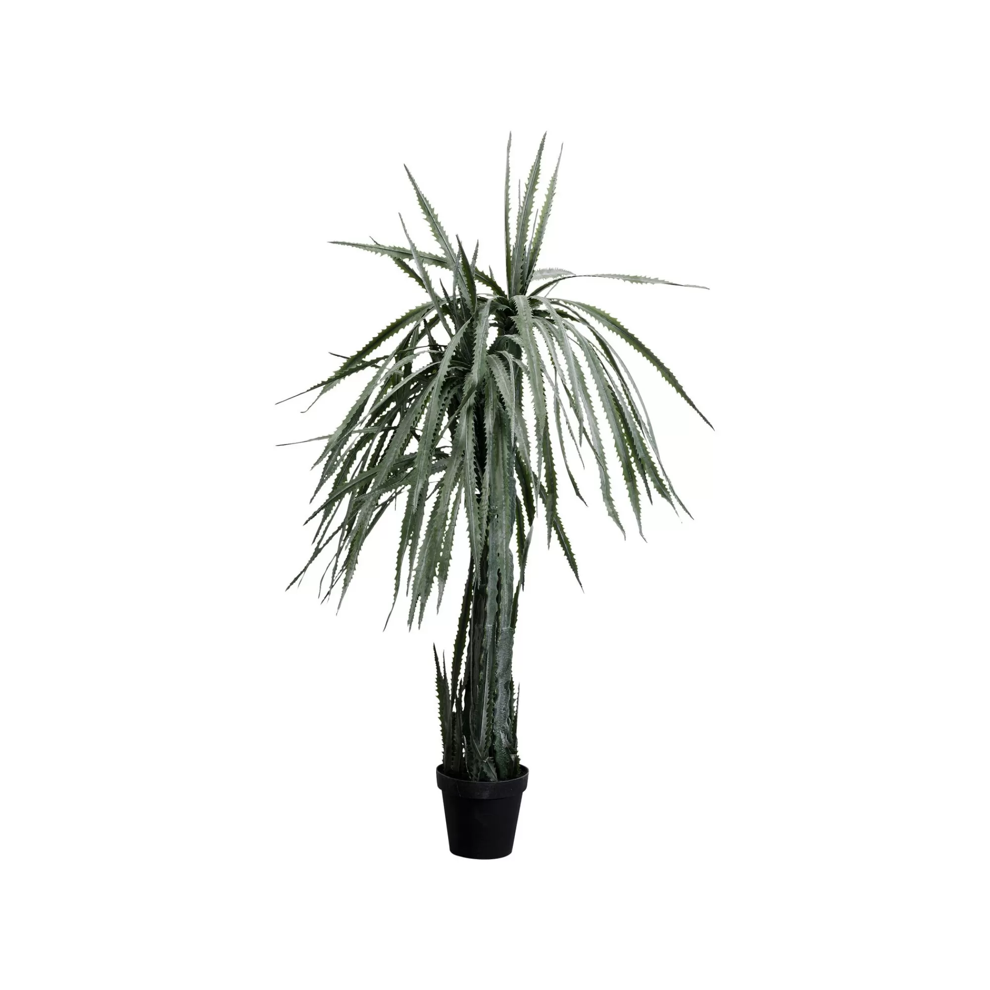 KARE Design Plante Décorative Dracaena 155cm ^ Plante Décorative