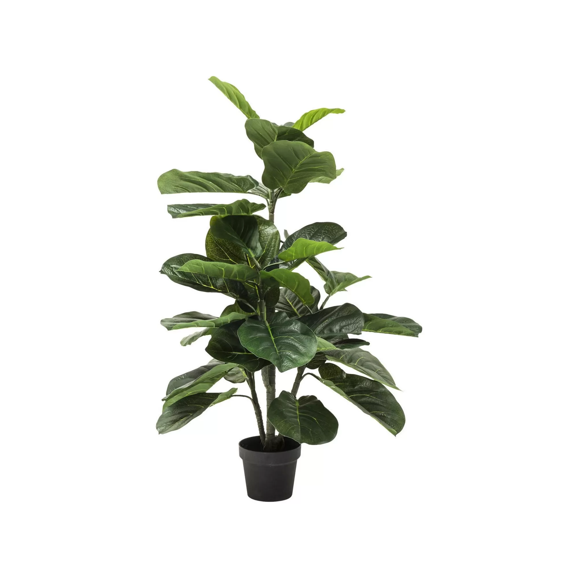 KARE Design Plante Décorative Figuier Lyre 120cm ^ Plante Décorative