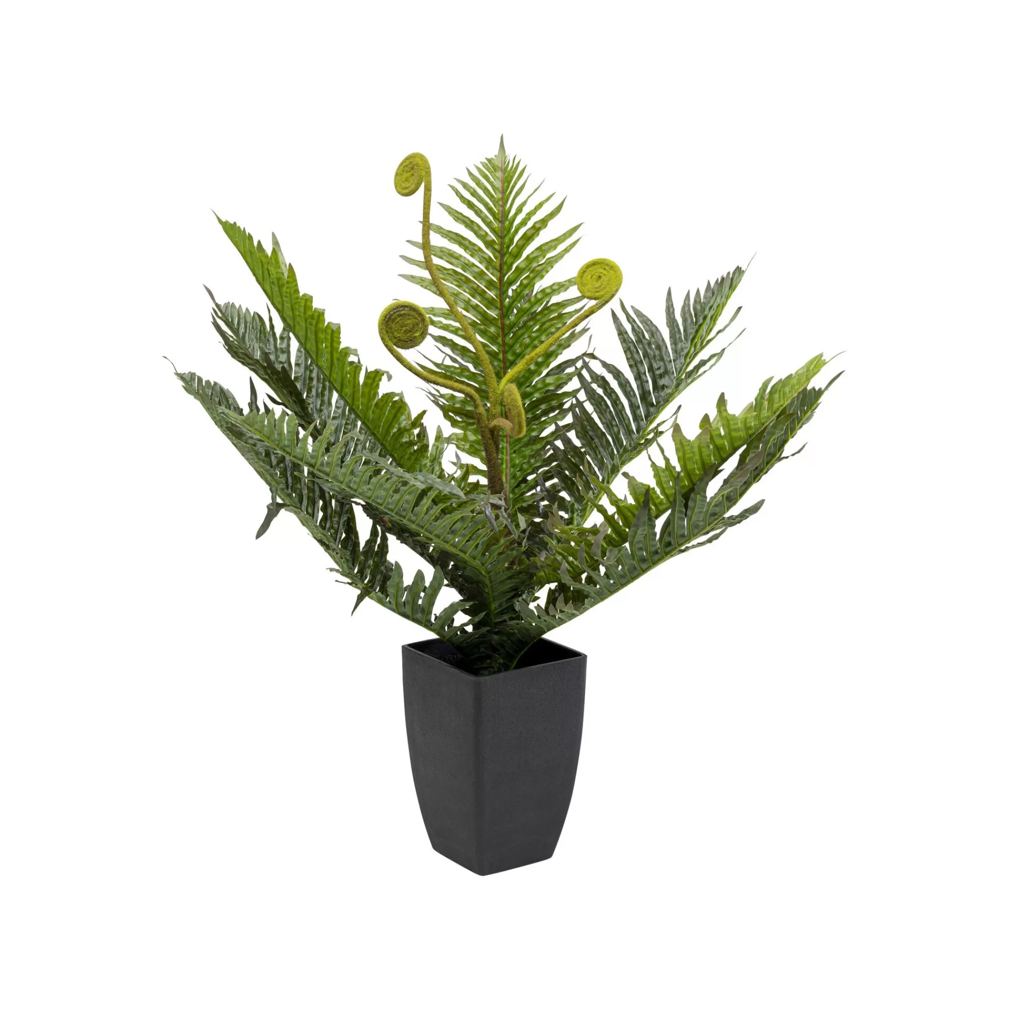 KARE Design Plante Décorative Fougère 55cm ^ Plante Décorative