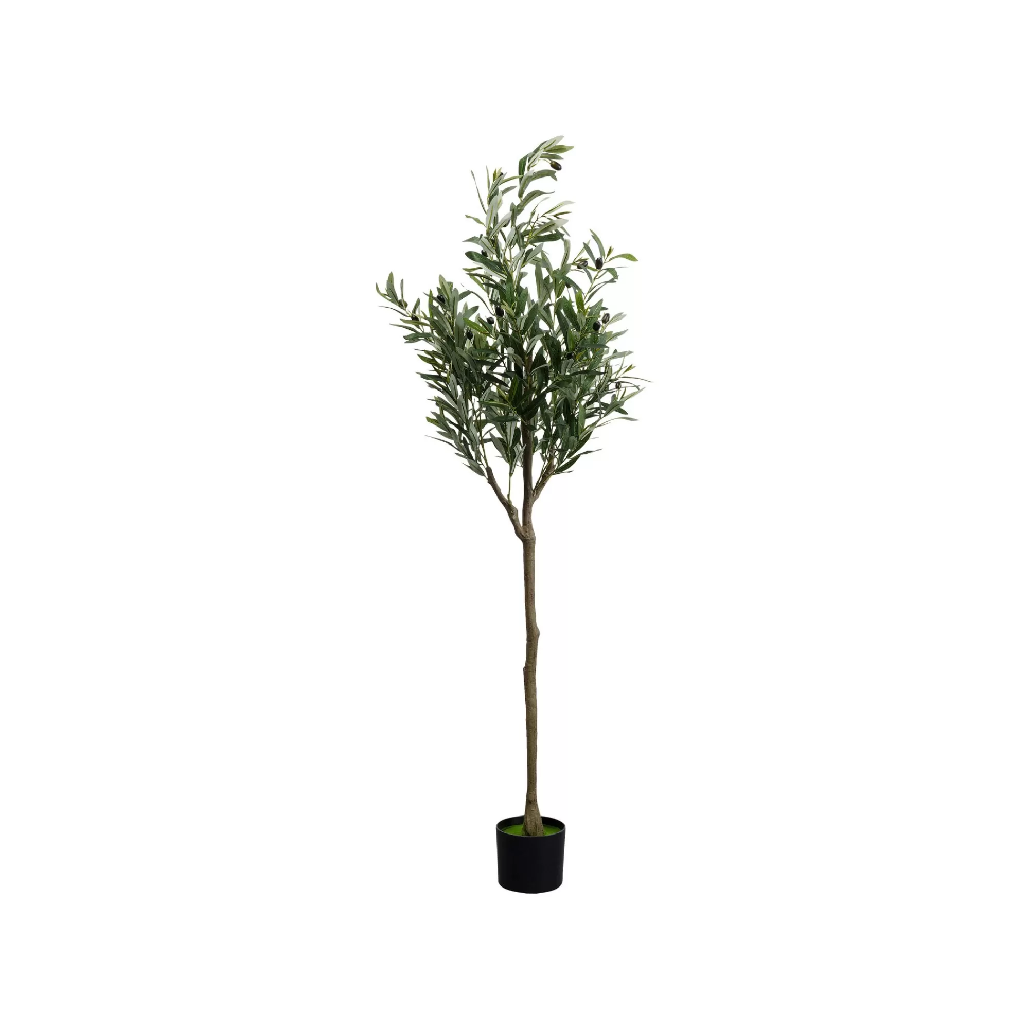 KARE Design Plante Décorative Olivier 150cm ^ Plante Décorative