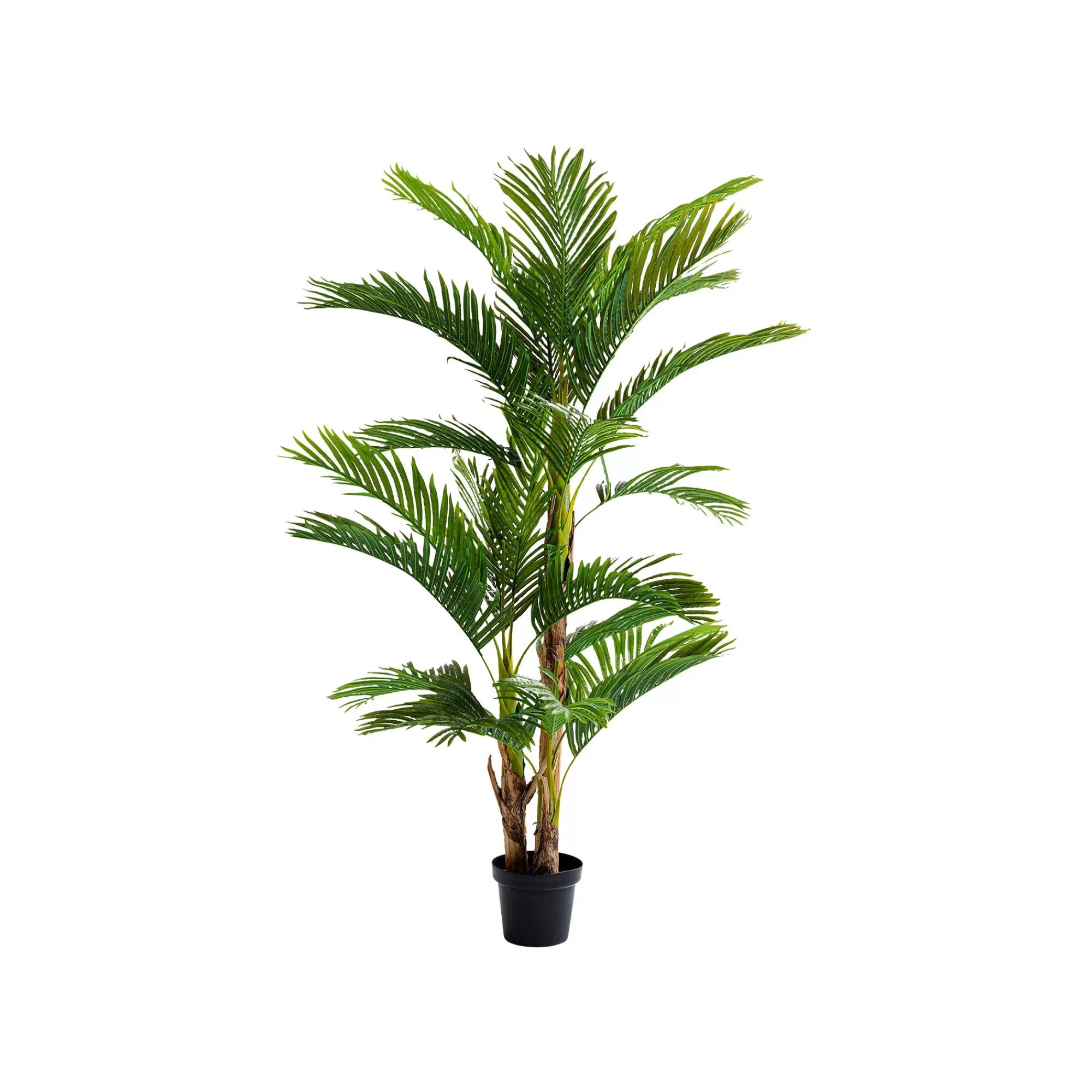 KARE Design Plante Décorative Palmier 190cm ^ Plante Décorative