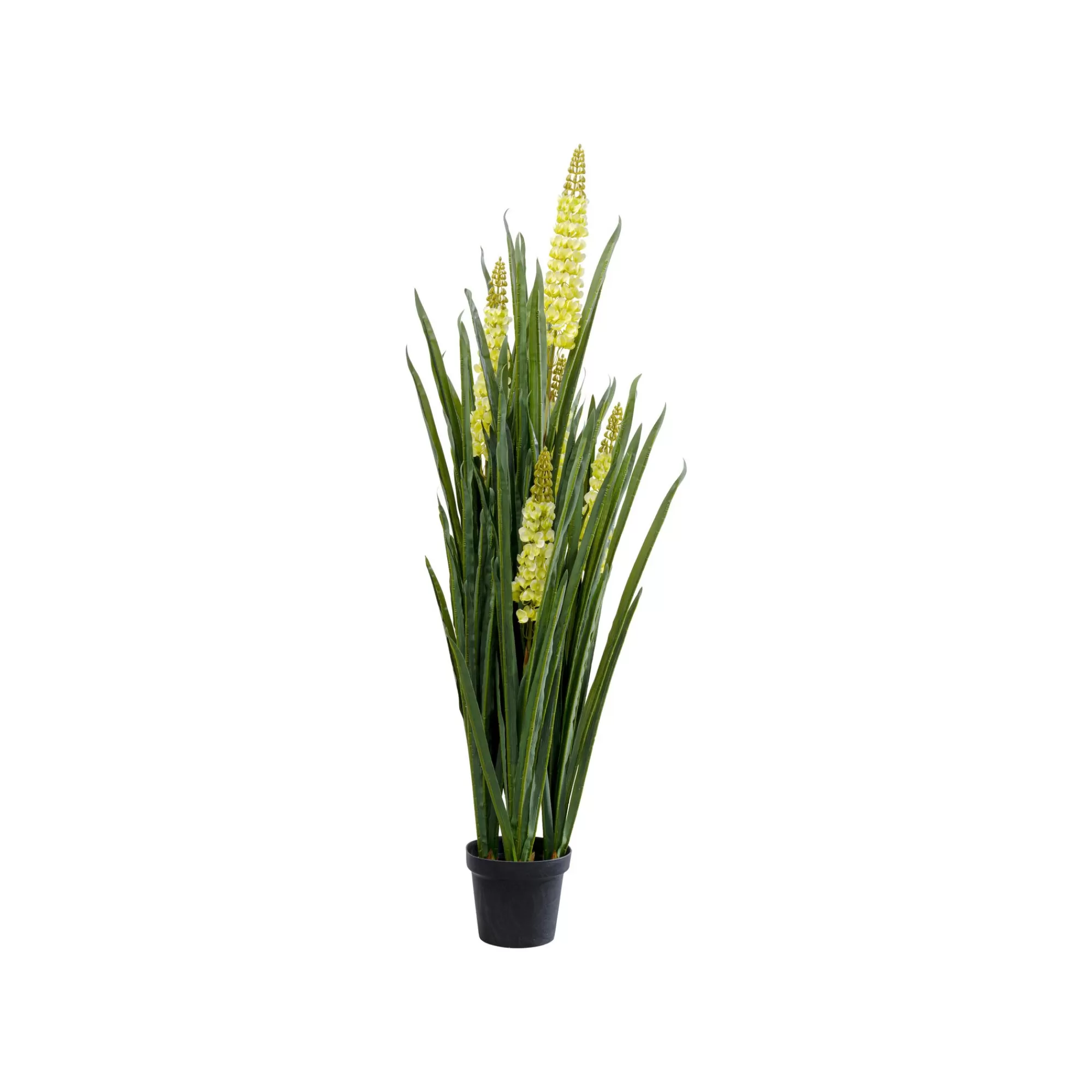 KARE Design Plante Décorative Rhynchostylis 150cm ^ Plante Décorative