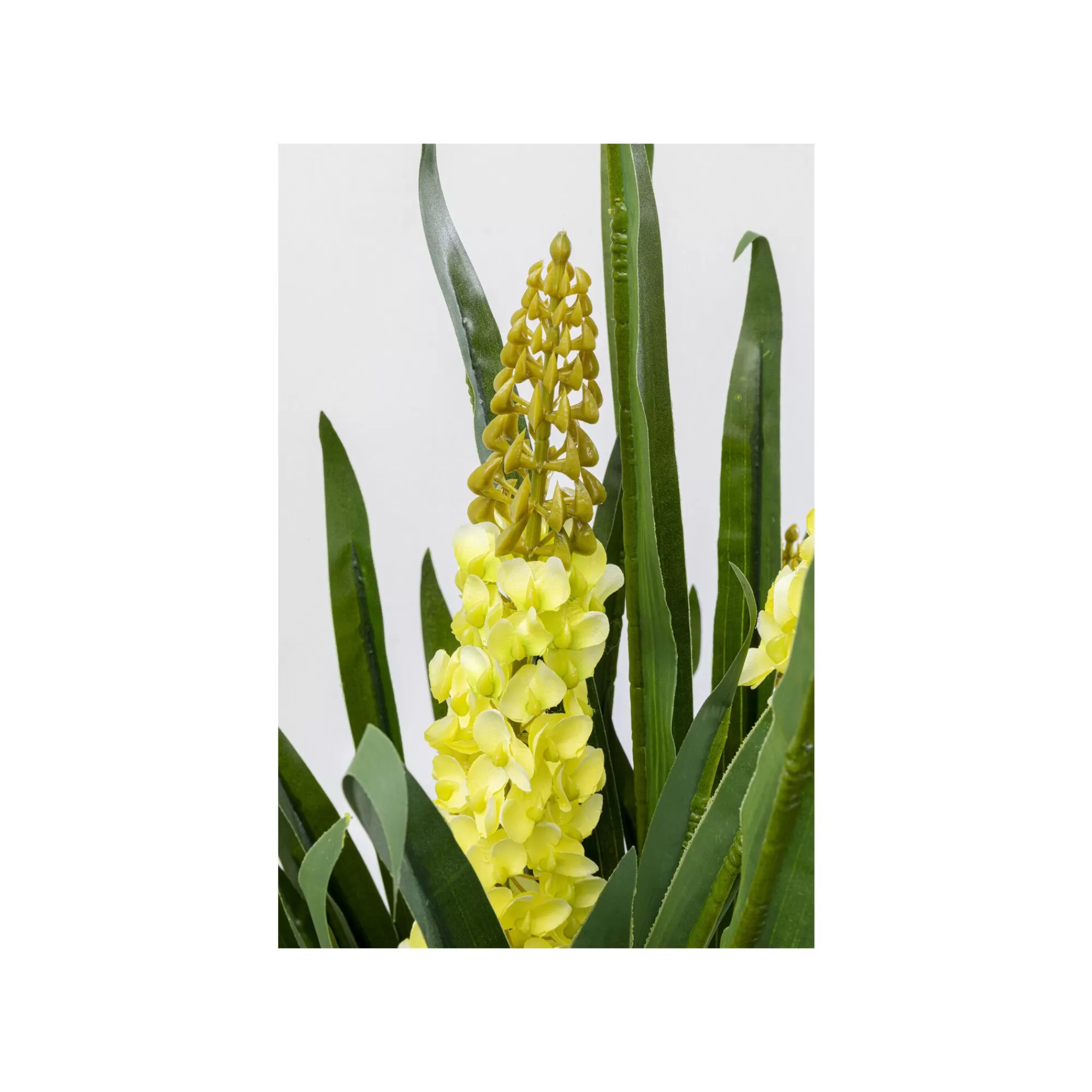 KARE Design Plante Décorative Rhynchostylis 150cm ^ Plante Décorative