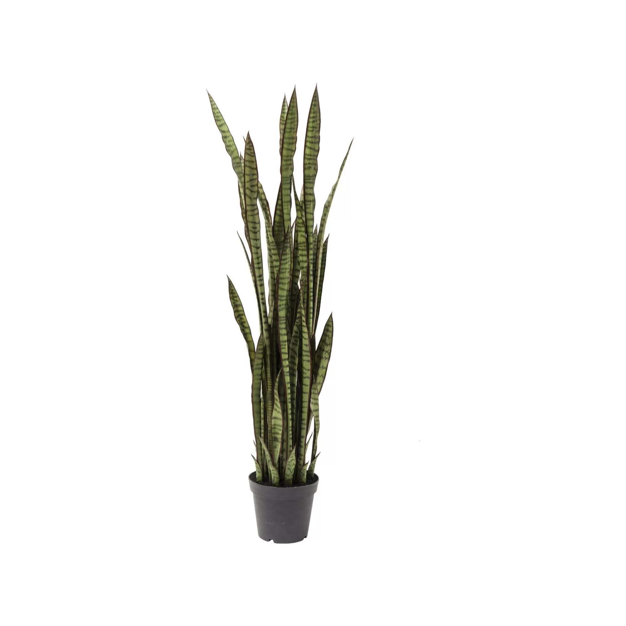 KARE Design Plante Décorative Sansevieria 155cm ^ Plante Décorative