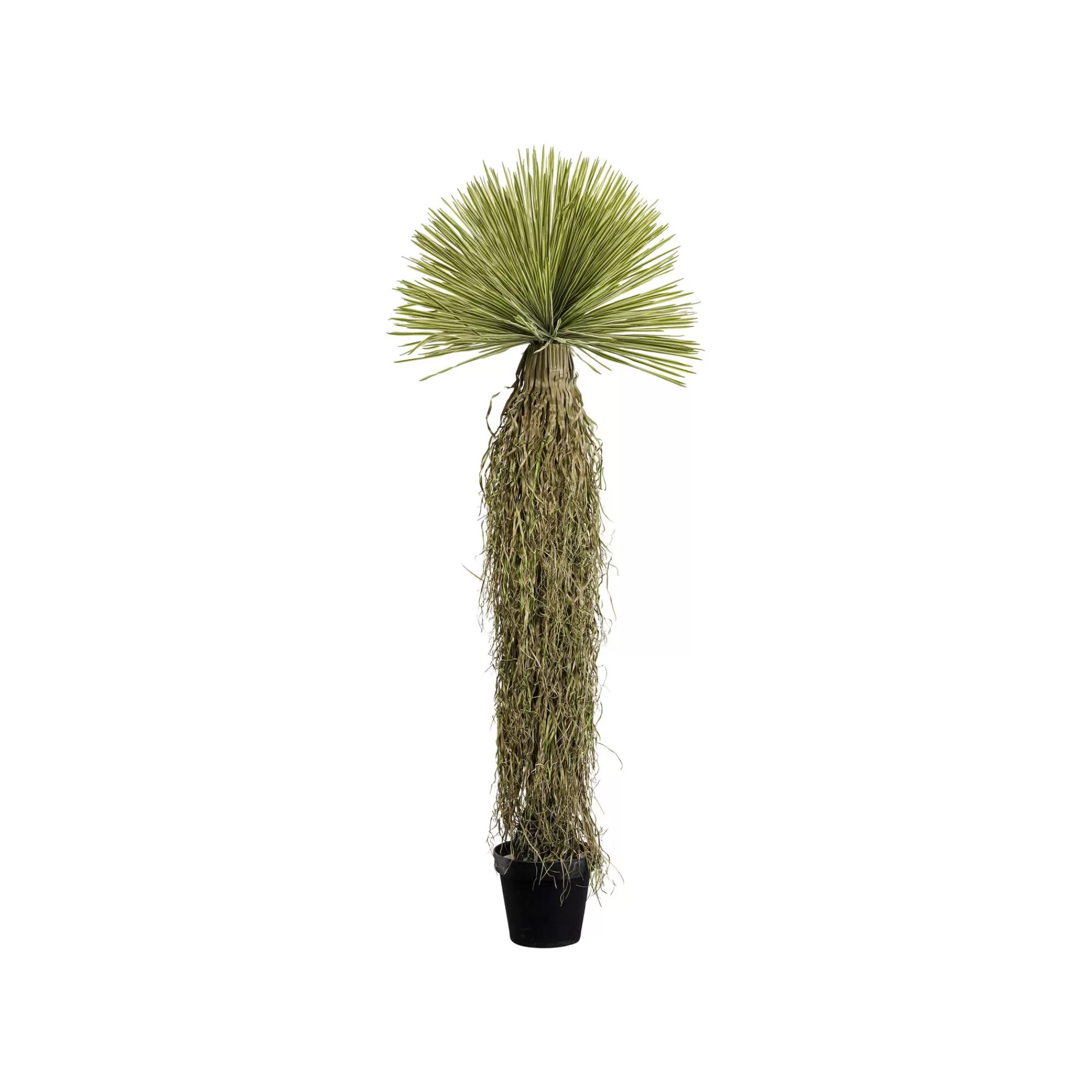 KARE Design Plante Décorative Yucca 180cm ^ Plante Décorative