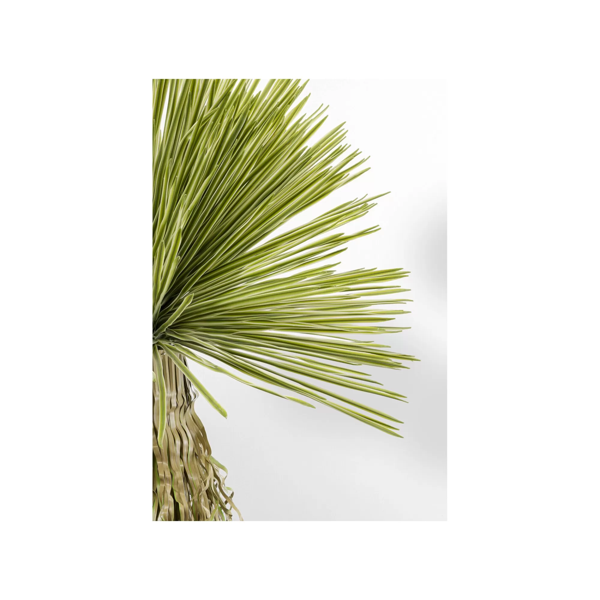 KARE Design Plante Décorative Yucca 180cm ^ Plante Décorative