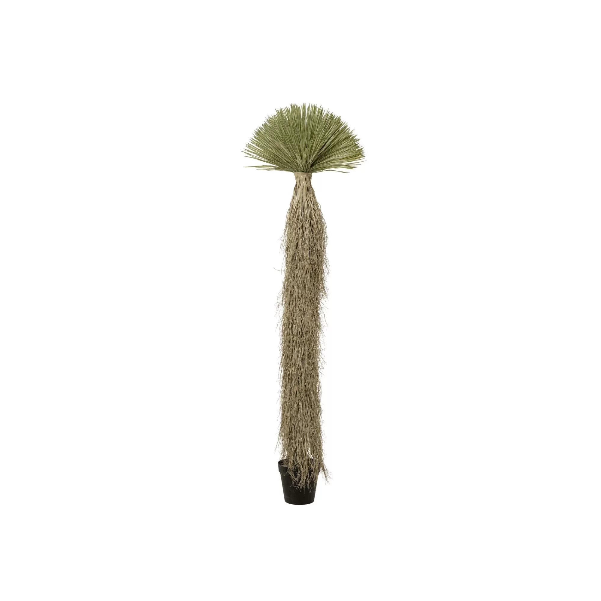 KARE Design Plante Décorative Yucca 240cm ^ Plante Décorative