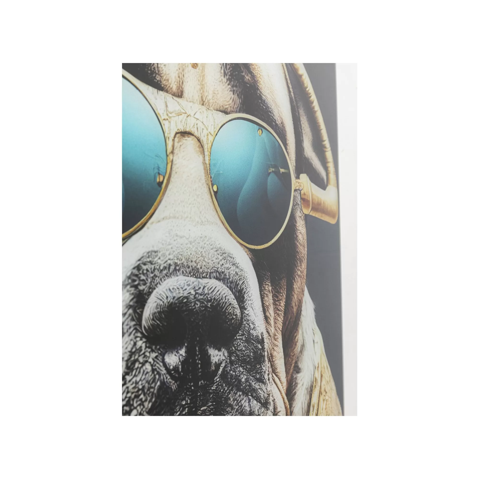 KARE Design Tableau En Verre Chien Lunettes 60x80cm ^ Tableau