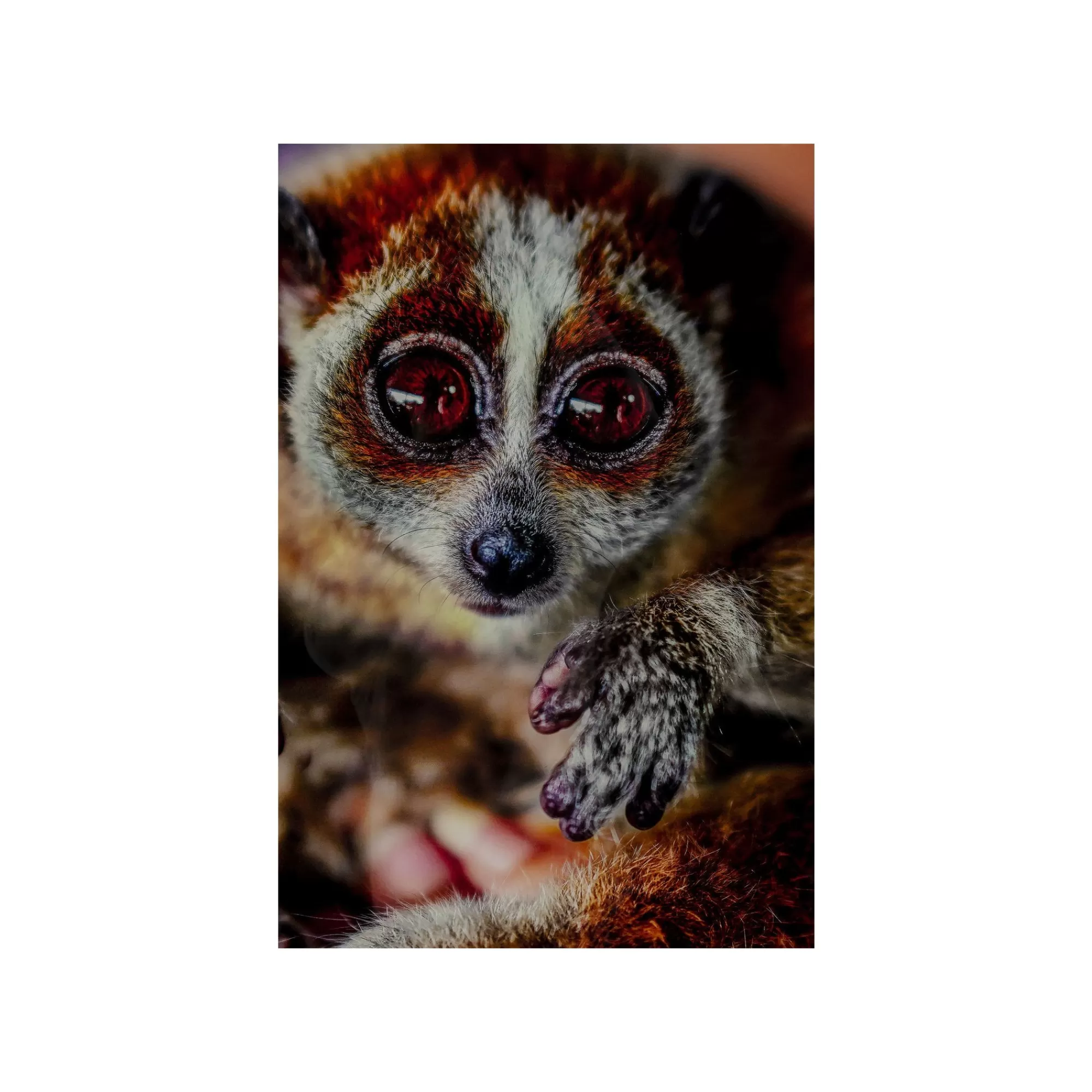 KARE Design Tableau En Verre Loris 120x80cm ^ Tableau