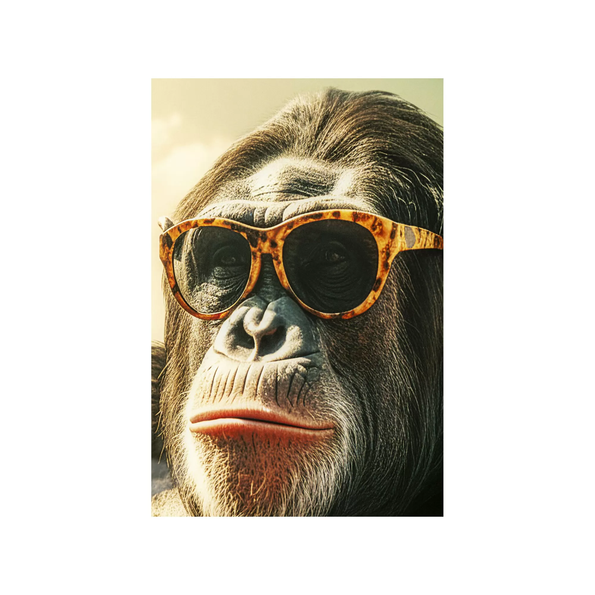 KARE Design Tableau En Verre Singe En Vacances 80x60cm ^ Tableau