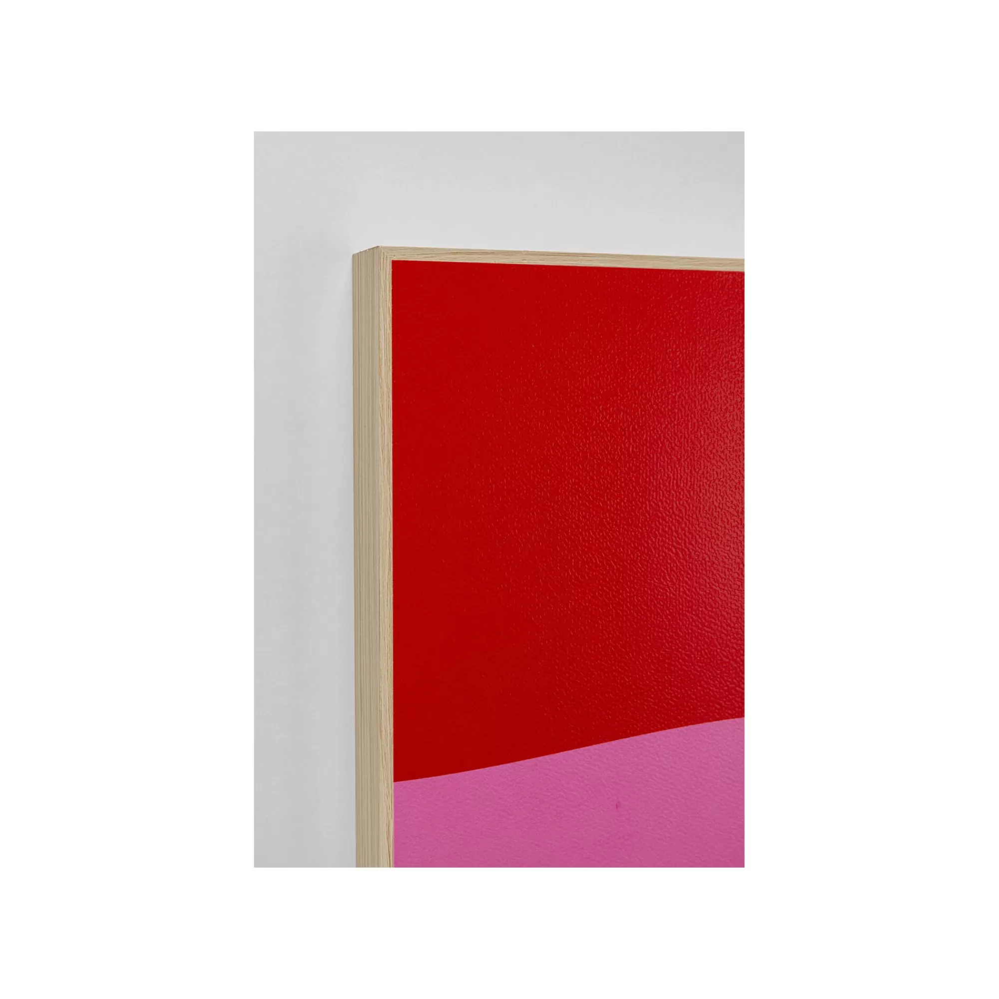 KARE Design Tableaux Teckel Rouge Et Rose Set De 2 ^ Tableau
